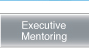 Executive Mentoring